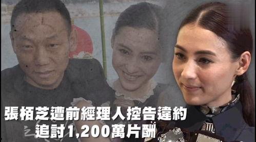 娱乐吃瓜纪录片,探寻娱乐圈背后的故事与真相