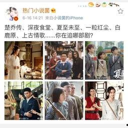 娱乐吃瓜深夜食堂,美食与情感的治愈之旅