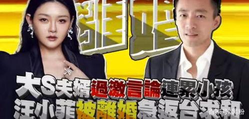 吃瓜娱乐圈娱记,揭秘明星幕后故事