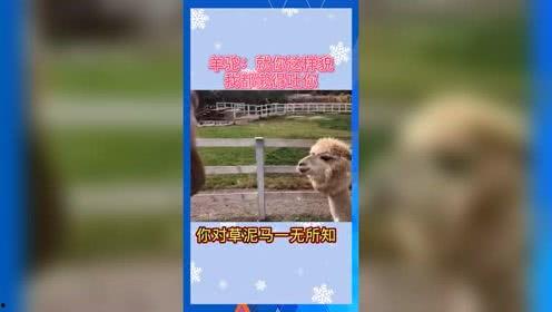 娱乐吃瓜Jerry,Jerry带你领略娱乐圈的酸甜苦辣
