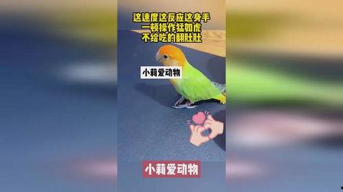 吃瓜鹅娱乐速报海蓝之谜,揭秘明星宠爱的护肤圣品