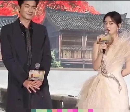 娱乐综艺吃瓜八卦视频大全,揭秘热门八卦视频大全