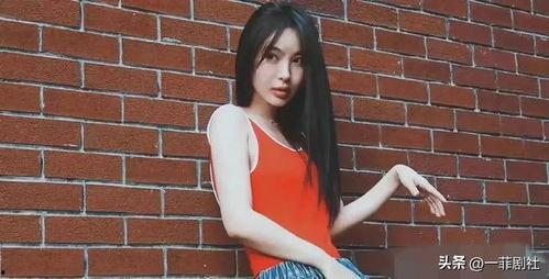 娱乐圈吃瓜程潇小说在线阅读,揭秘明星背后的故事